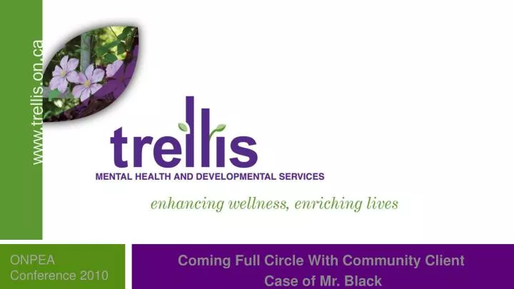 trellis mental health and developmental service n.