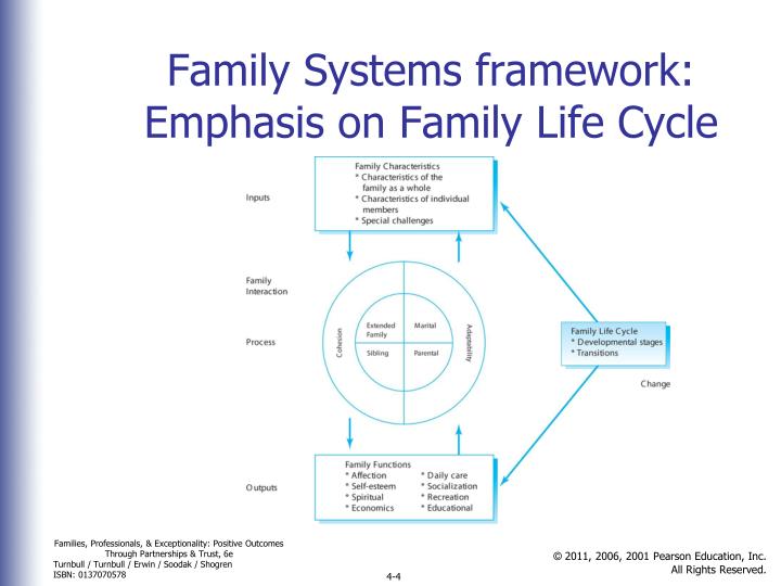 family model theory