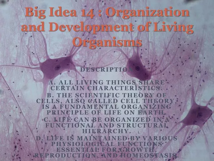 big idea 14 organization and development of living organisms n.