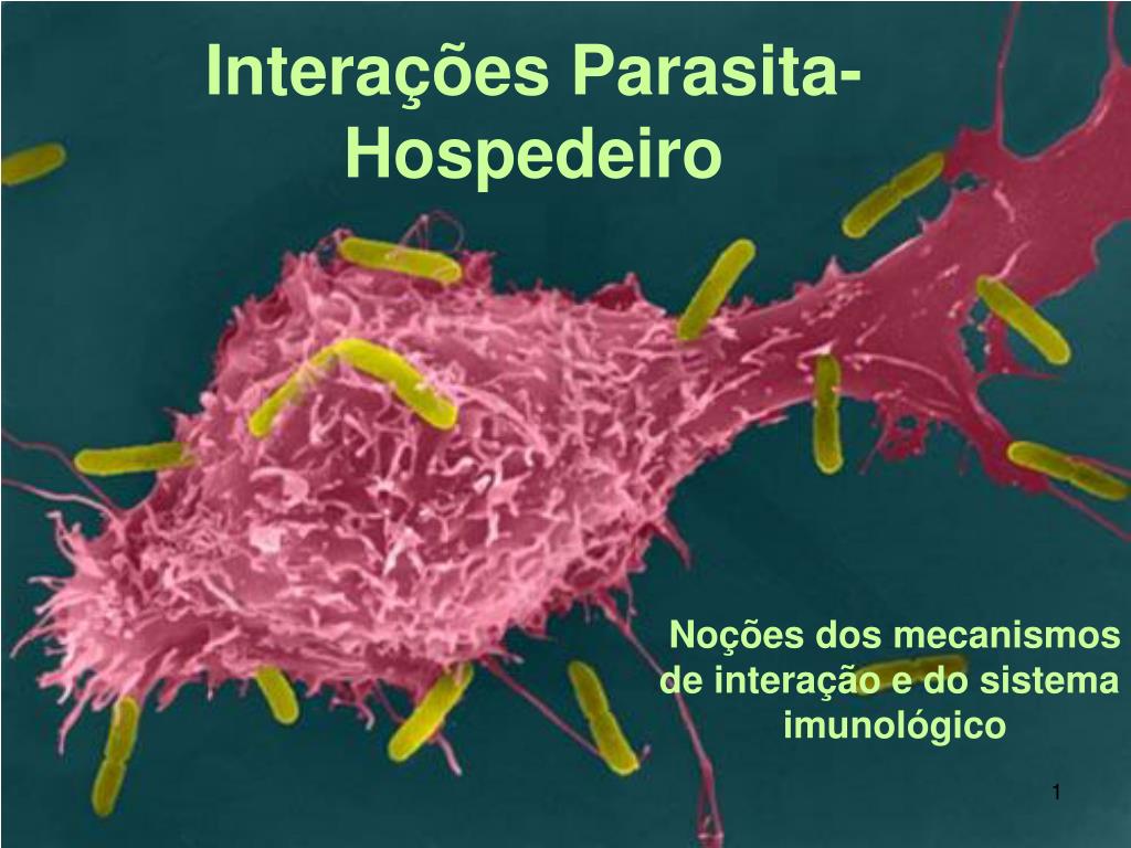 Макрофаги 1 2. Фагоцитоз микроорганизмов. Фагоцитоз фото. Макрофаги под микроскопом. Фагоцитоз патогенных микроорганизмов.