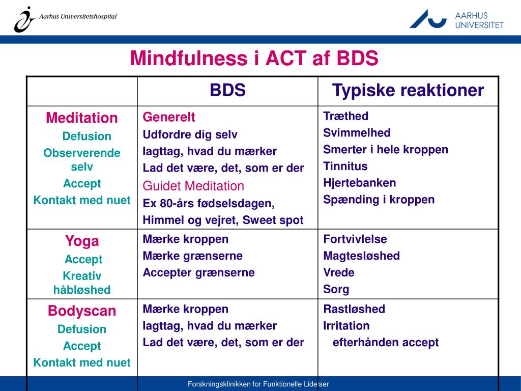 PPT - Om kunsten at leve et meningsfuldt liv med en krop som “bråker” Tromsø 5. september 2014 
