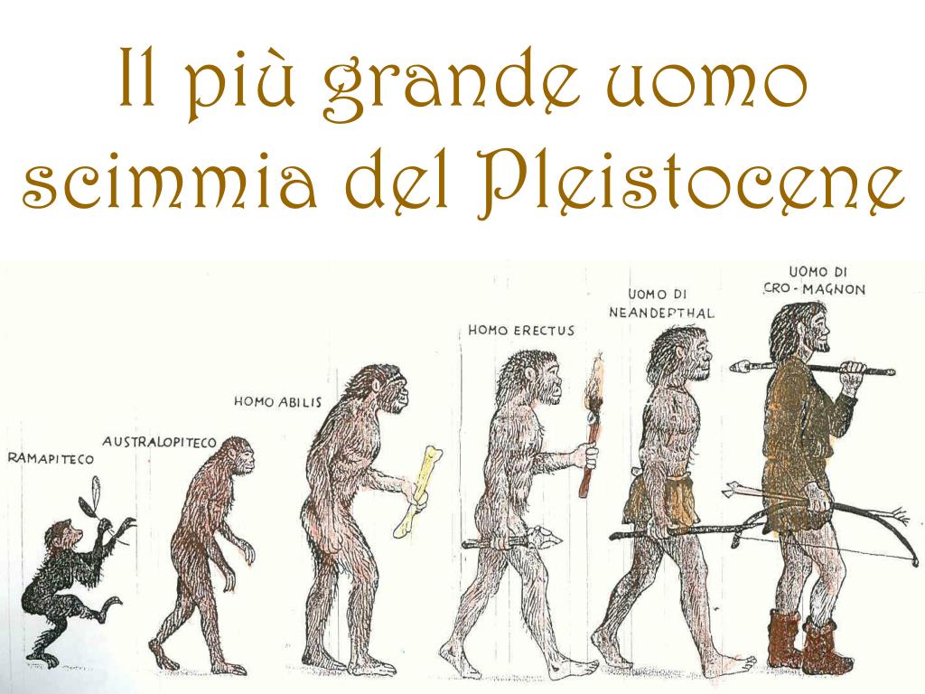 PPT - Il più grande uomo scimmia del Pleistocene PowerPoint