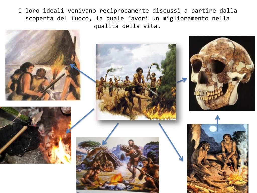 Riassunto Il Più Grande Uomo Scimmia Del Pleistocene PPT - Il più grande uomo scimmia del Pleistocene PowerPoint