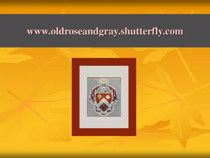 www oldroseandgray shutterfly com n.