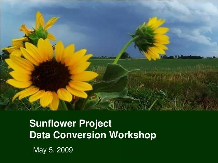 sunflower project data conversion workshop n.
