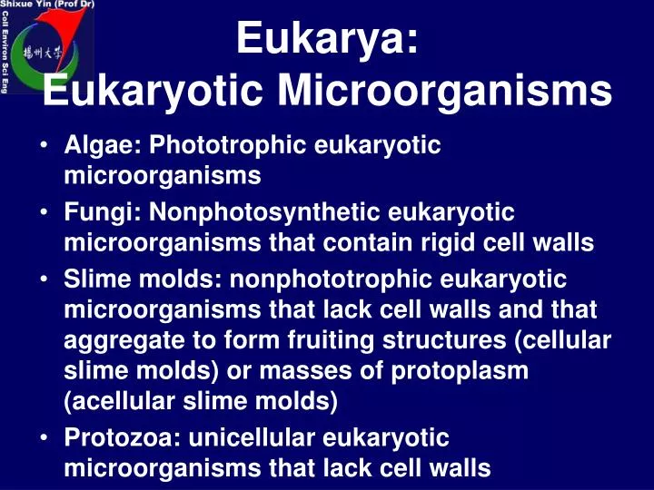 eukarya eukaryotic microorganisms n.