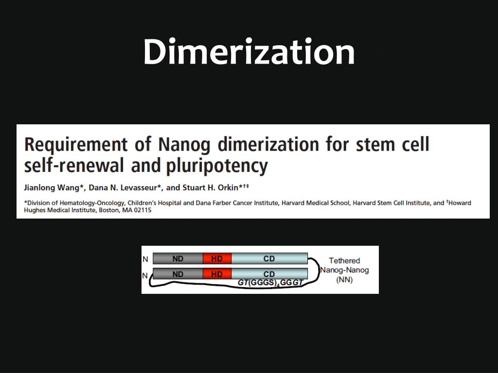 PPT - NANOG The secret to immortality PowerPoint Presentation - ID:5797041