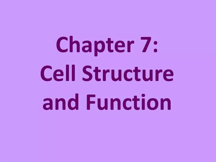 chapter 7 cell structure and function n.