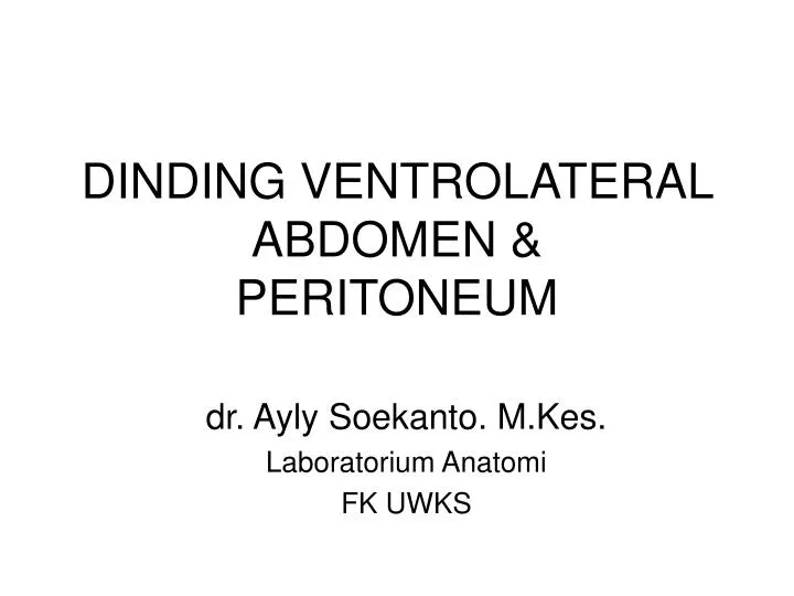 dinding ventrolateral abdomen peritoneum n.