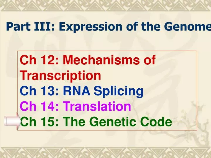 part iii expression of the genome n.