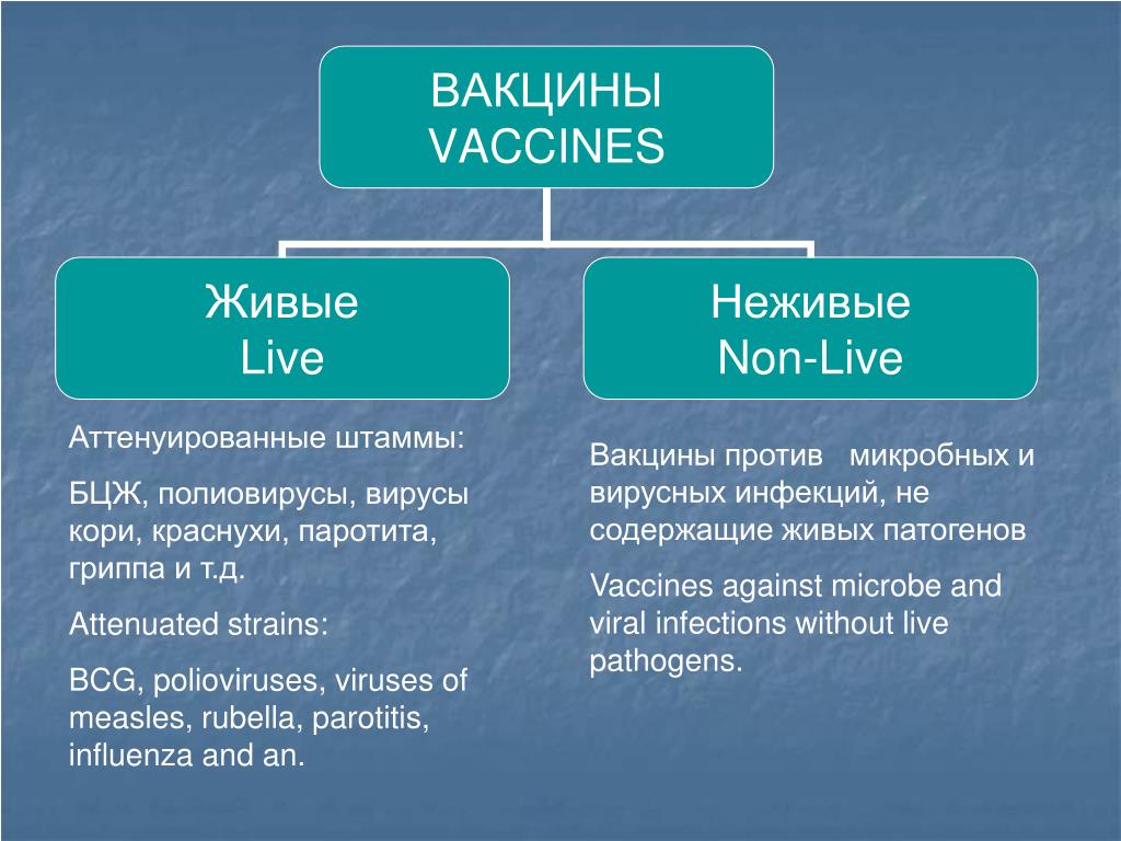 Живые вакцины применение