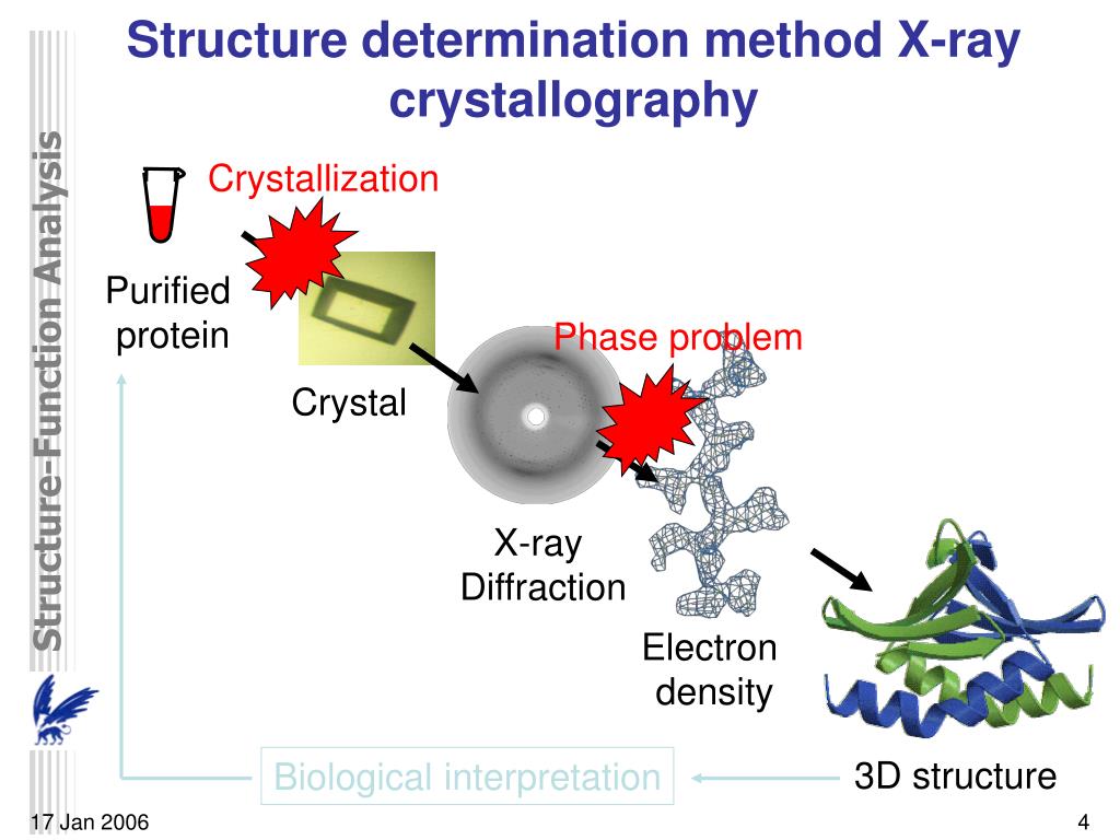 Method of determination. Analysis of Proteins. ЯМР кристаллография. X-ray phase Analysis. Protein NMR structure.