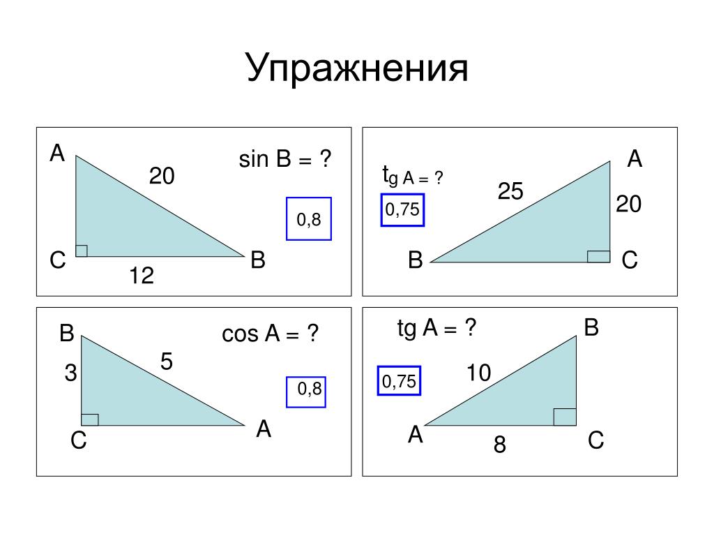 Самостоятельная синус косинус тангенс угла 8 класс