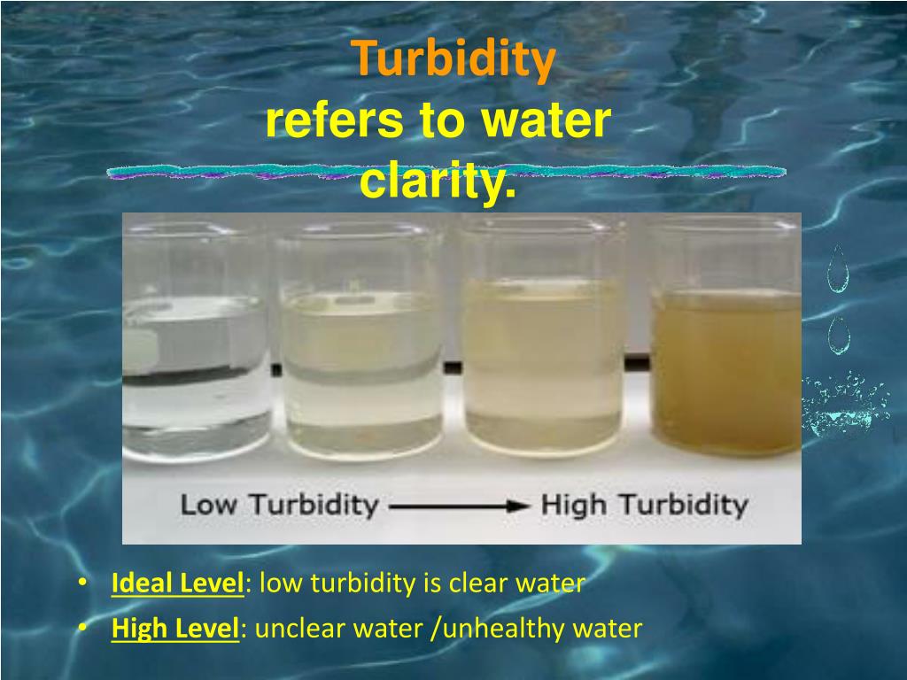 Turbidity Levels Of Water at Shelley Poirier blog