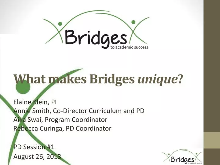 what makes bridges unique n.