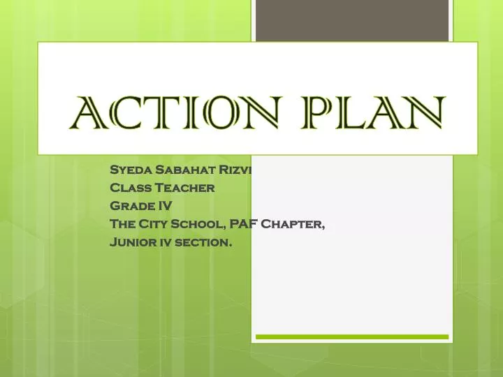action plan n.