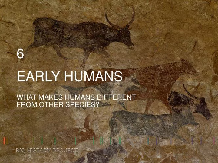 early humans n.