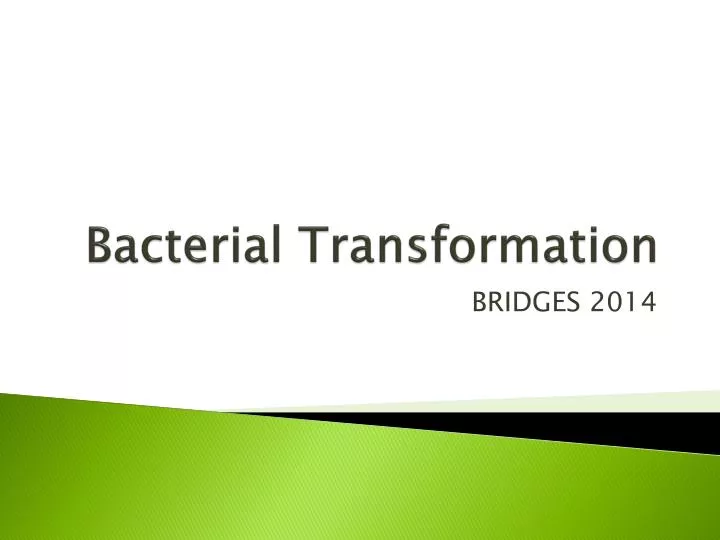 bacterial transformation n.