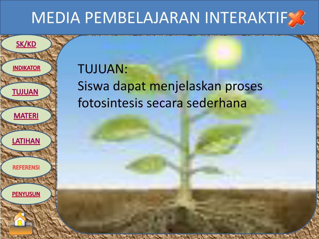  Rangkuman  Struktur Dan  Fungsi Jaringan  Tumbuhan  Kelas 8 