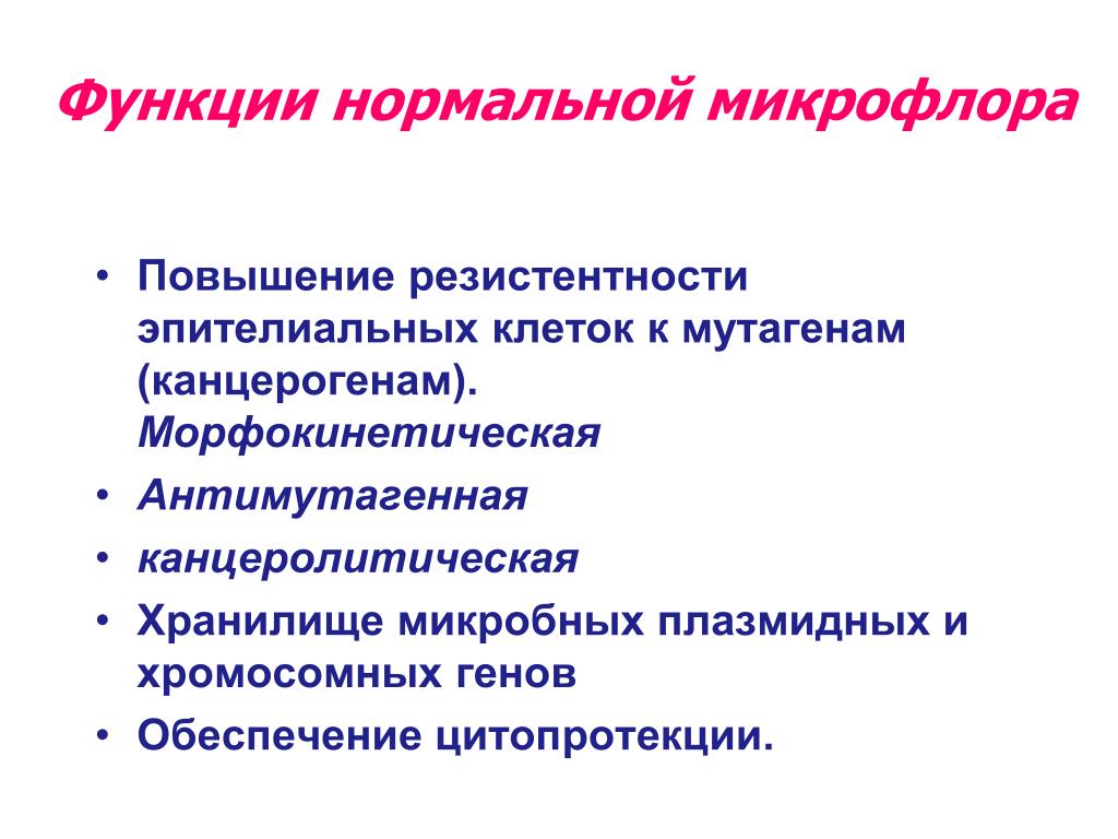Значение нормальной микрофлоры. Функции нормальной микрофлоры человека. Функции нормальной микрофлоры. Морфокинетическая функция нормальной микрофлоры. Морфокинетическая роль микрофлоры.