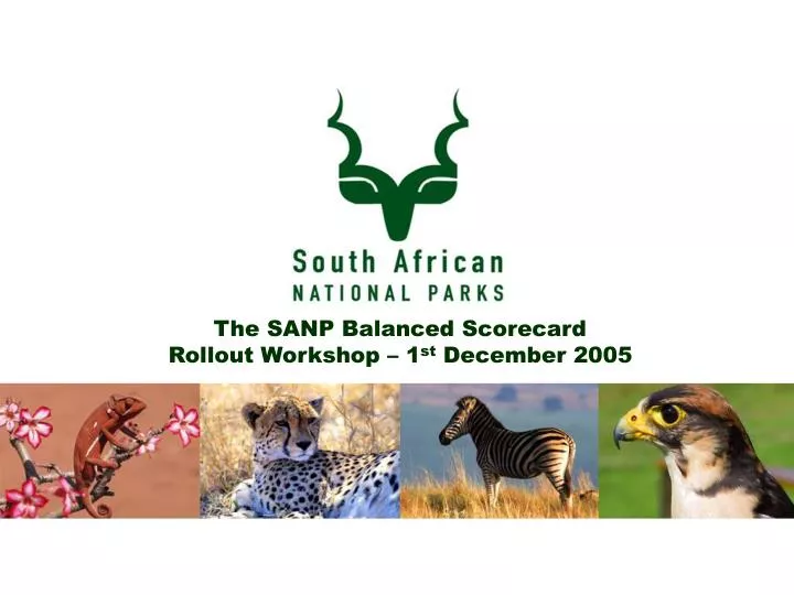 the sanp balanced scorecard rollout workshop 1 st december 2005 n.