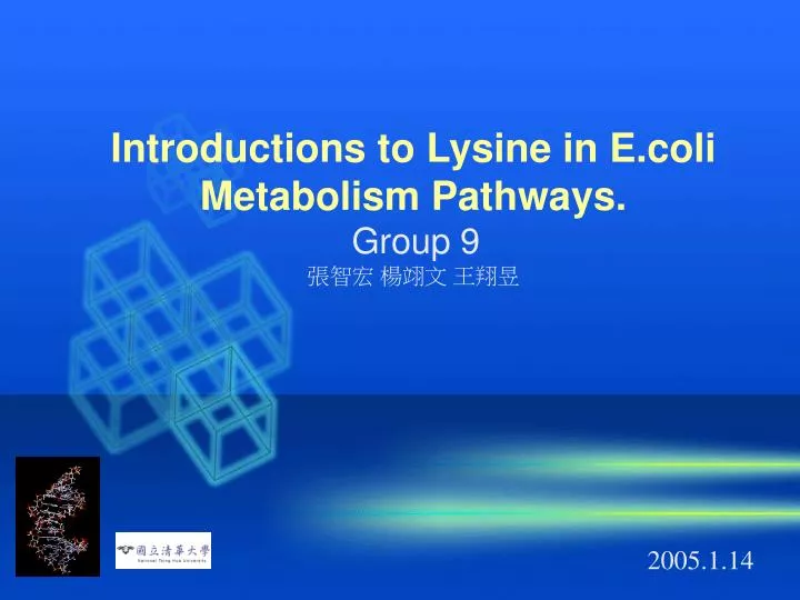 introductions to lysine in e coli metabolism pathways group 9 n.