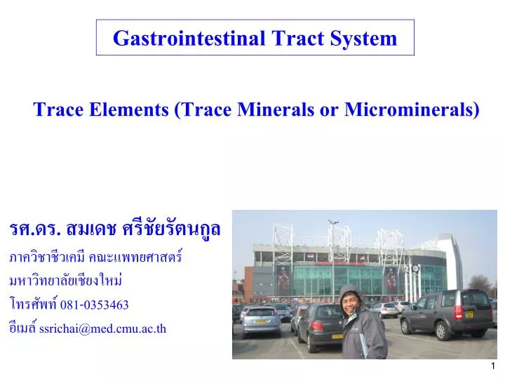 gastrointestinal tract system n.
