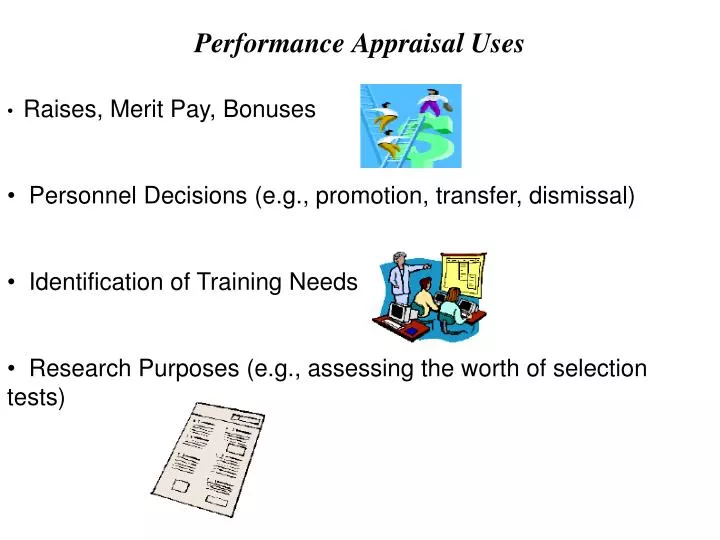 performance appraisal uses n.