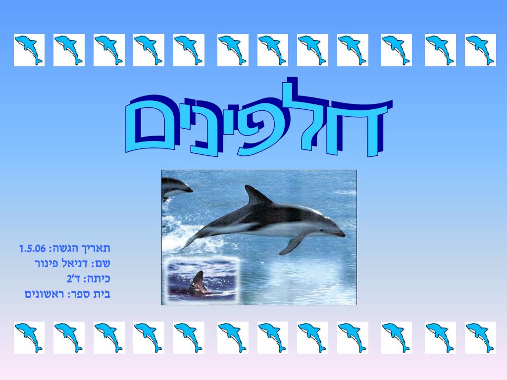 PPT - דולפינים PowerPoint Presentation, free download - ID:5804521