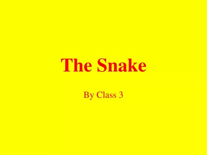the snake n.