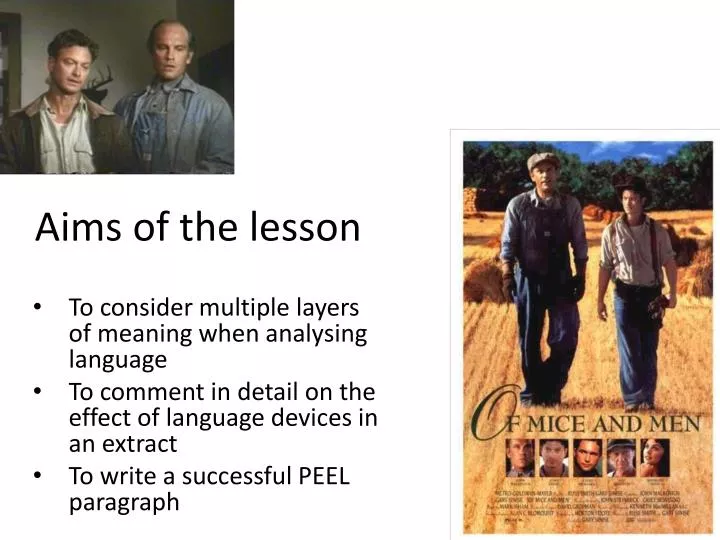 aims of the lesson n.