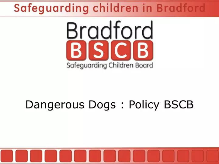 dangerous dogs policy bscb n.