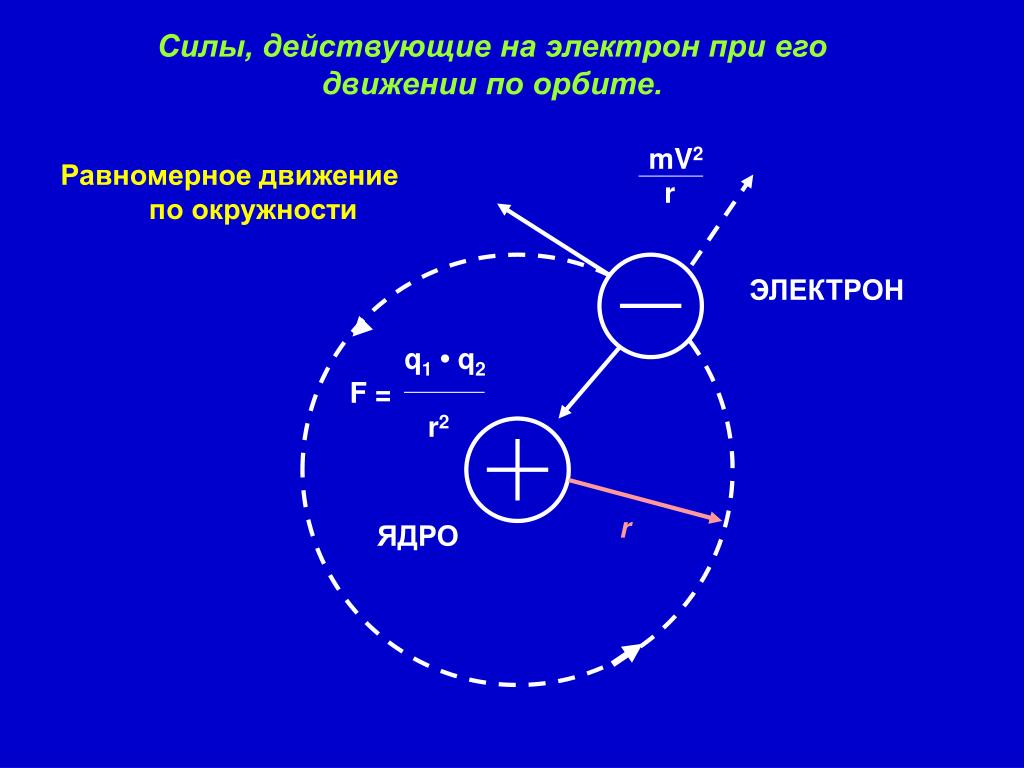 Силы в ядре