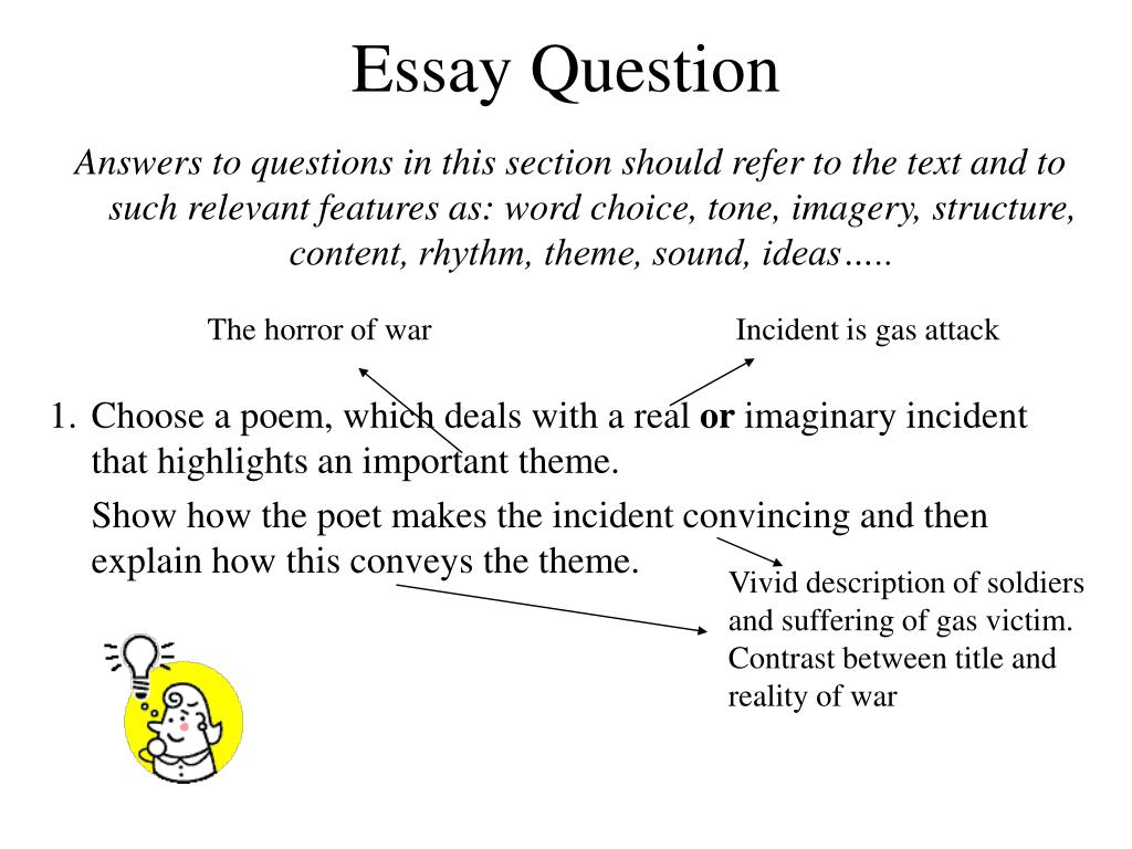 define an essay question