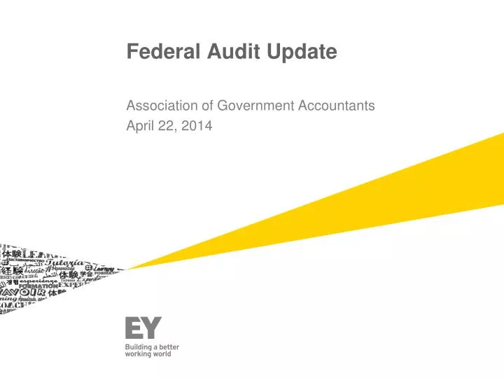 federal audit update n.