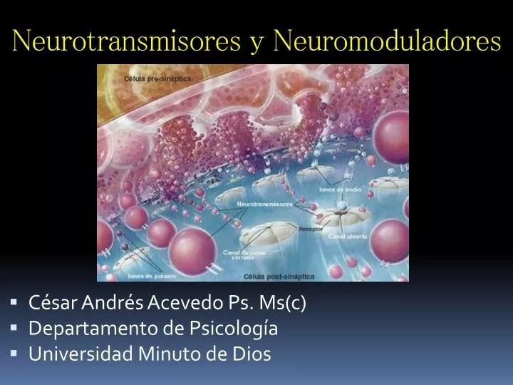 neurotransmisores y neuromoduladores n.