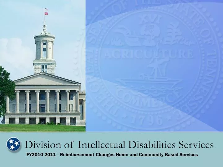 division of intellectual disabilities services n.