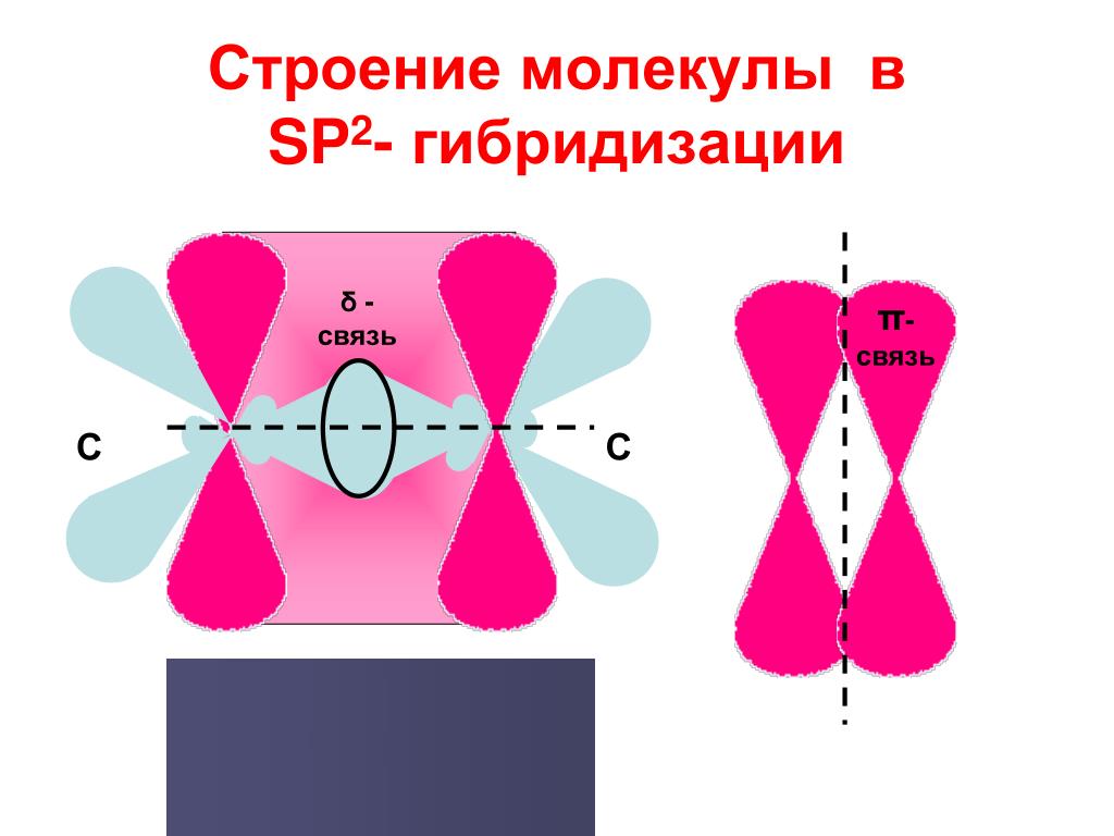 Тип гибридизации sp2. Sp2 гибридизация строение молекулы. Sp2- гибридизация в молекуле. Атомы углерода в сп2 гибридизации. Sp2 гибридизация строение.