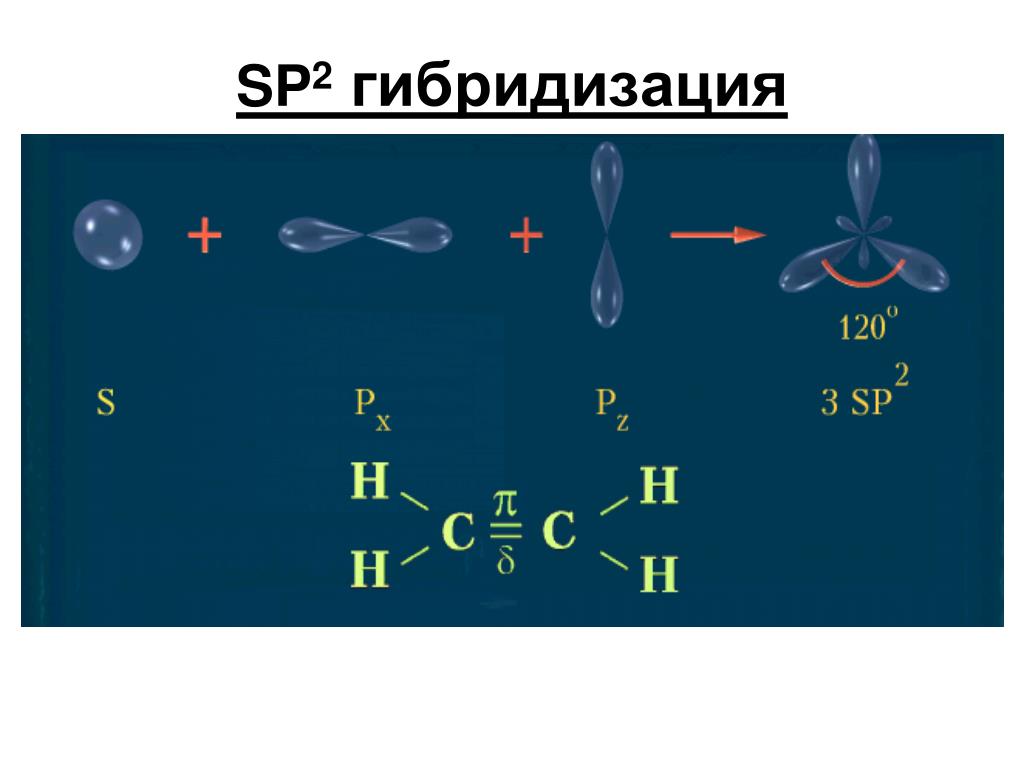 Этилен состояние гибридизации. SP^2-SP 2 − гибридизации?. Sp3 sp2 SP гибридизация углы. Sp2 гибридизация углерода. Атомы sp2 гибридизации.