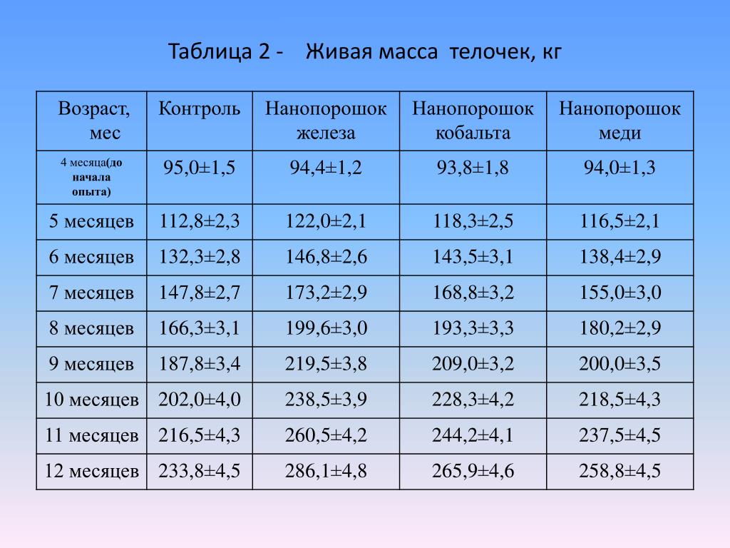 Три месяца сколько