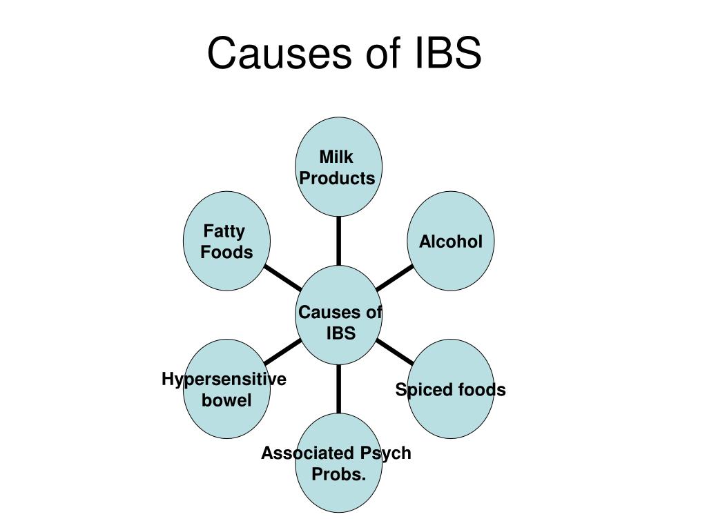 PPT INFECTIONS AND IRRITABLE BOWEL SYNDROME (IBS) PowerPoint