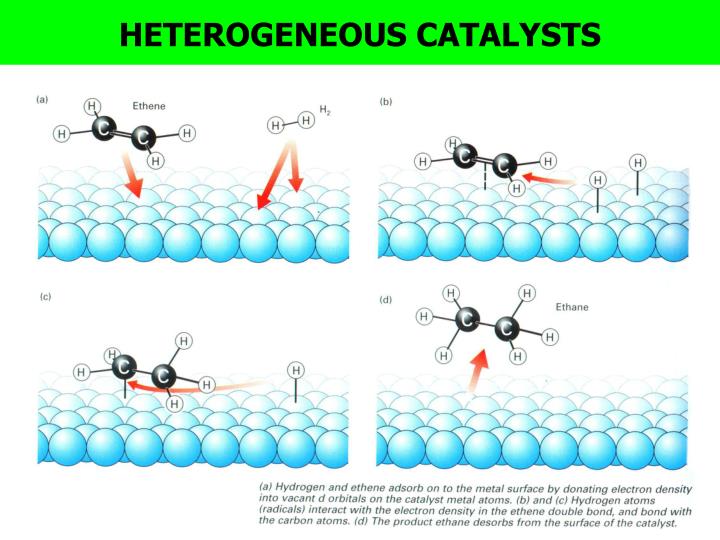 PPT Starter 1)Definition of catalysts 2) Difference between