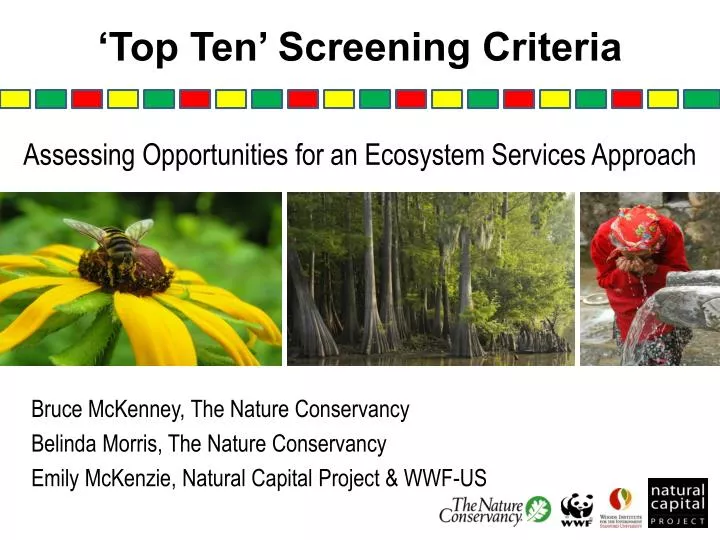 top ten screening criteria n.