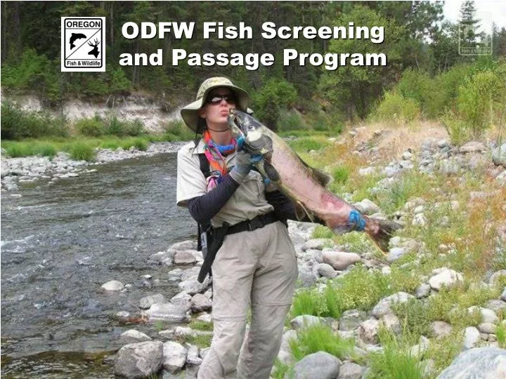 odfw fish screening and passage program n.