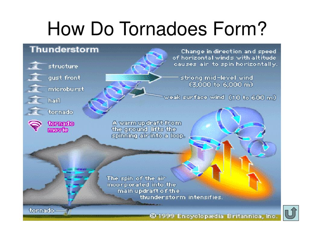 PPT - Tornadoes: A Whirlwind Tour PowerPoint Presentation, free 