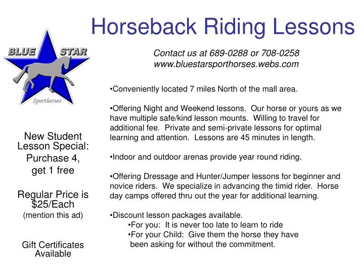 horseback riding lessons n.