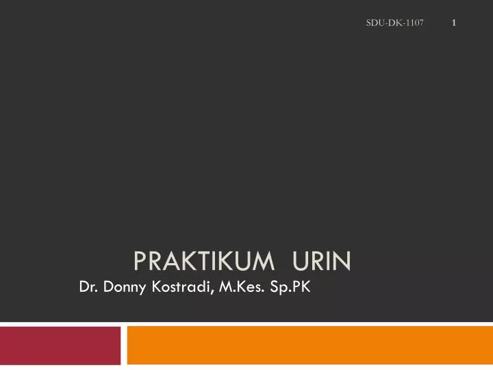 praktikum urin n.