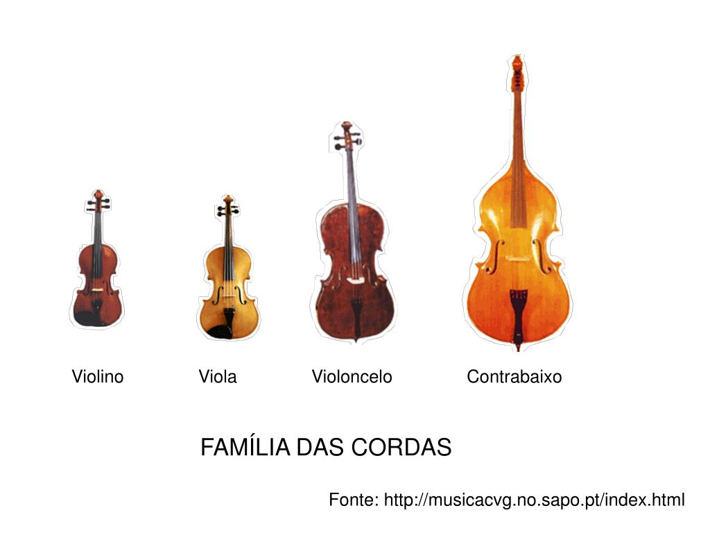 PPT - Violino Viola Violoncelo Contrabaixo PowerPoint Presentation, free  download - ID:5816059