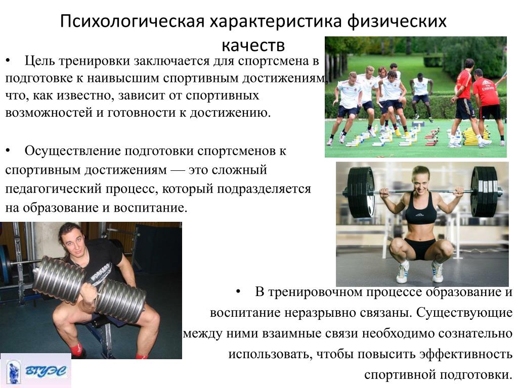 Физические особенности спортсменов