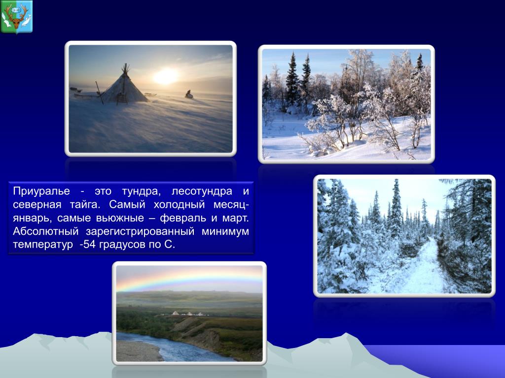 Где в тайге самые низкие температуры зимой. Самый холодный месяц. Приуралье. Самый холодный месяц года январь текст. Северное Приуралье.